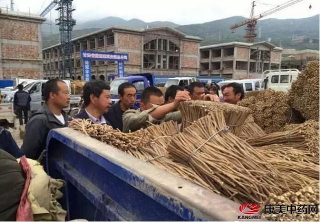 各大地产药材价格行情报道:黄精,石菖蒲,知母,白芷