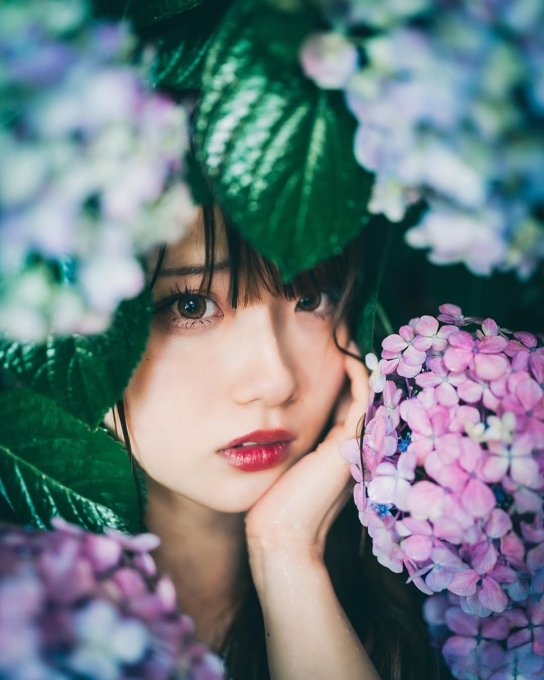 绣球花人像,10个仙女拍照姿势,引爆朋友圈