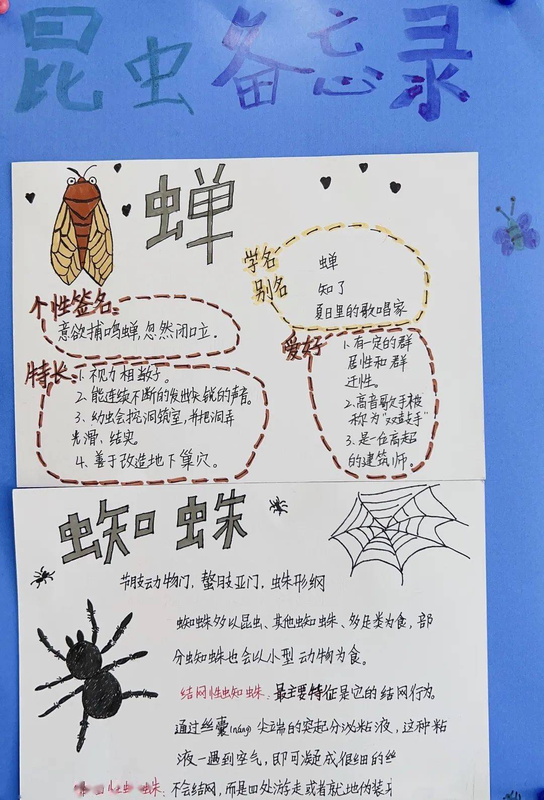 spring breezemarch什么是昆虫录呢?