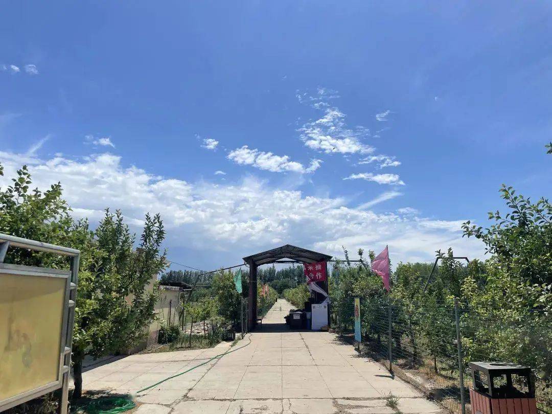 据悉,第八届顺义樱桃采摘旅游文化节,今天盛大开幕,共有13家樱桃采摘