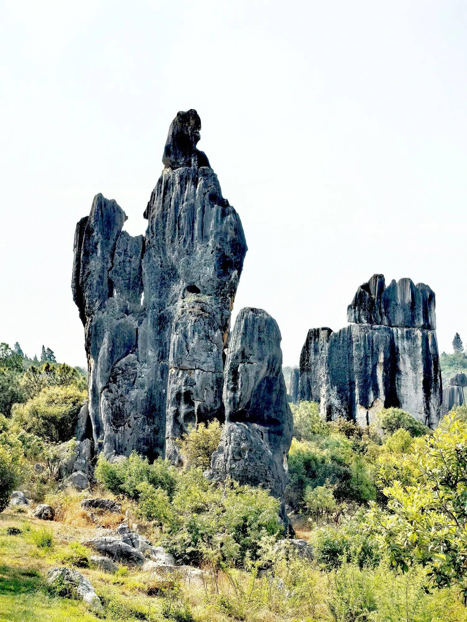 昆明石林风景区介绍图片