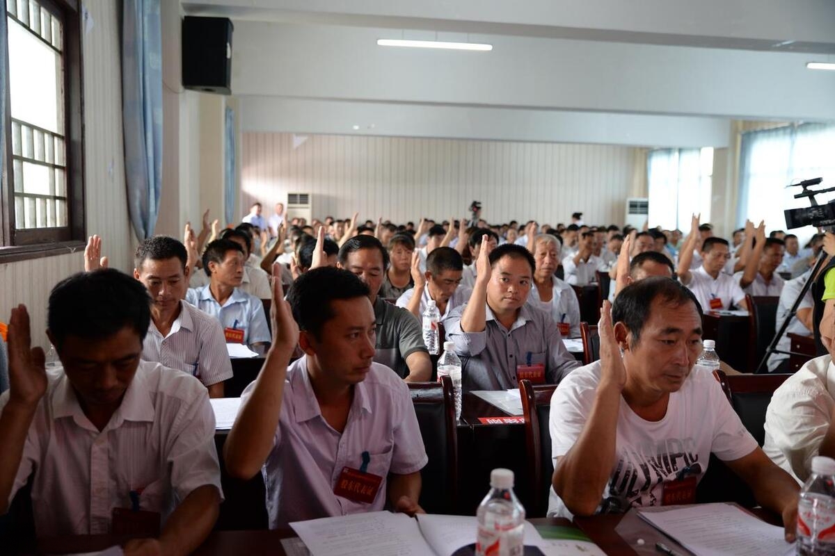 但是村委会行使权力是需要开会通过,重大的决策是通过"四会议两公开"