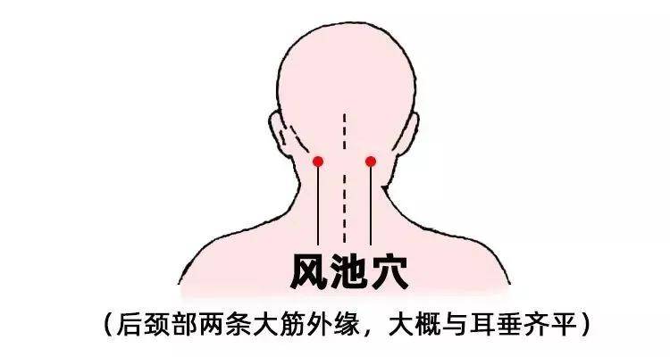 风池准确位置图片定位图片