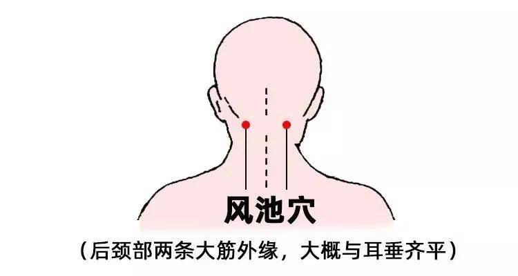风池穴:颈椎病的"软肋"【按摩方法】左右手各用拇指揉按1-3分钟.