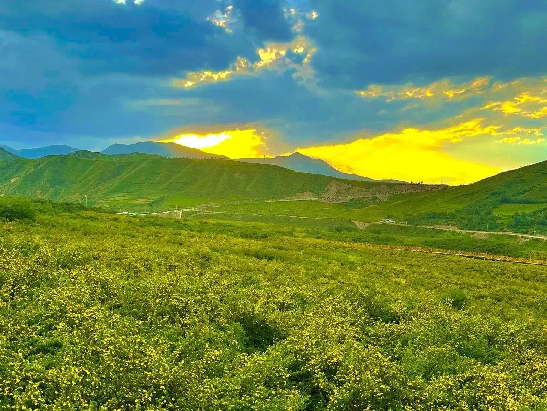 原生态旅游的乐园——黄草坪