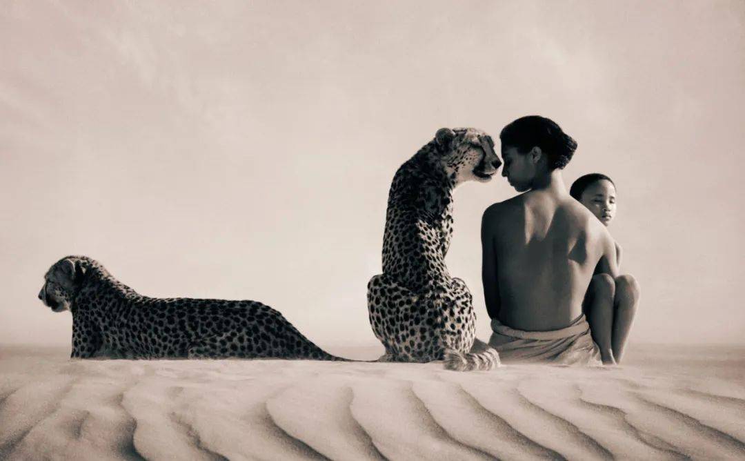 年年被传去世,他却凭一张照片震撼了1000w人:为热爱而死,是一种恩赐