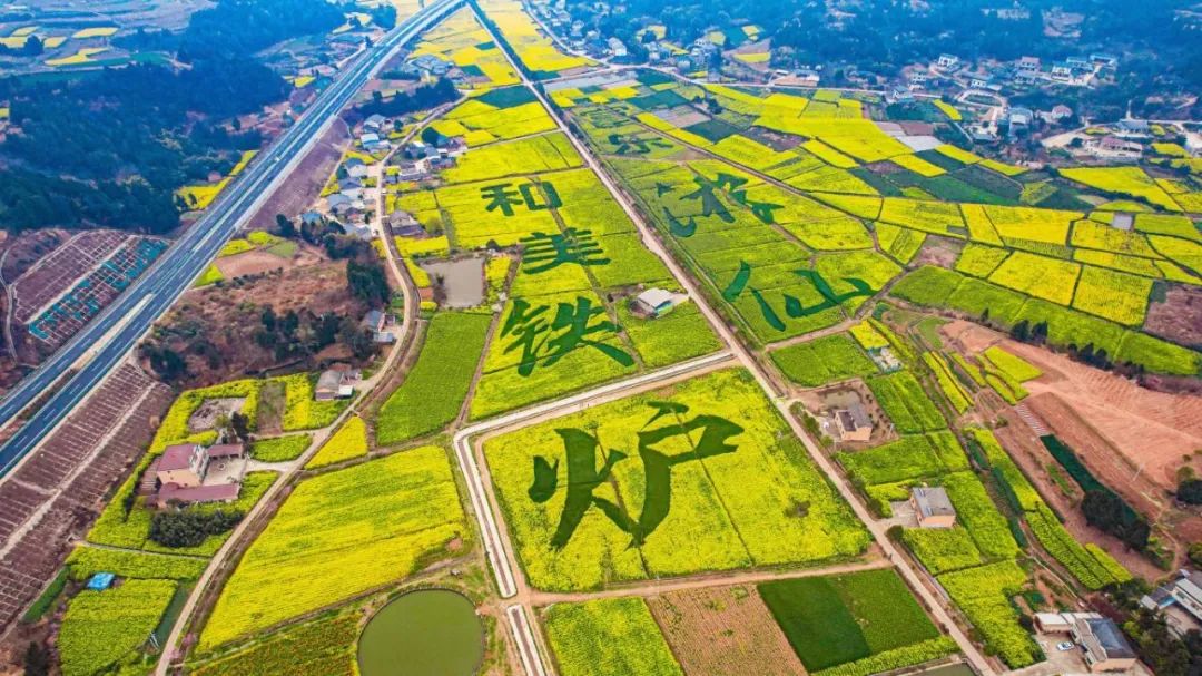 微信图片_20250318172724(1).jpg