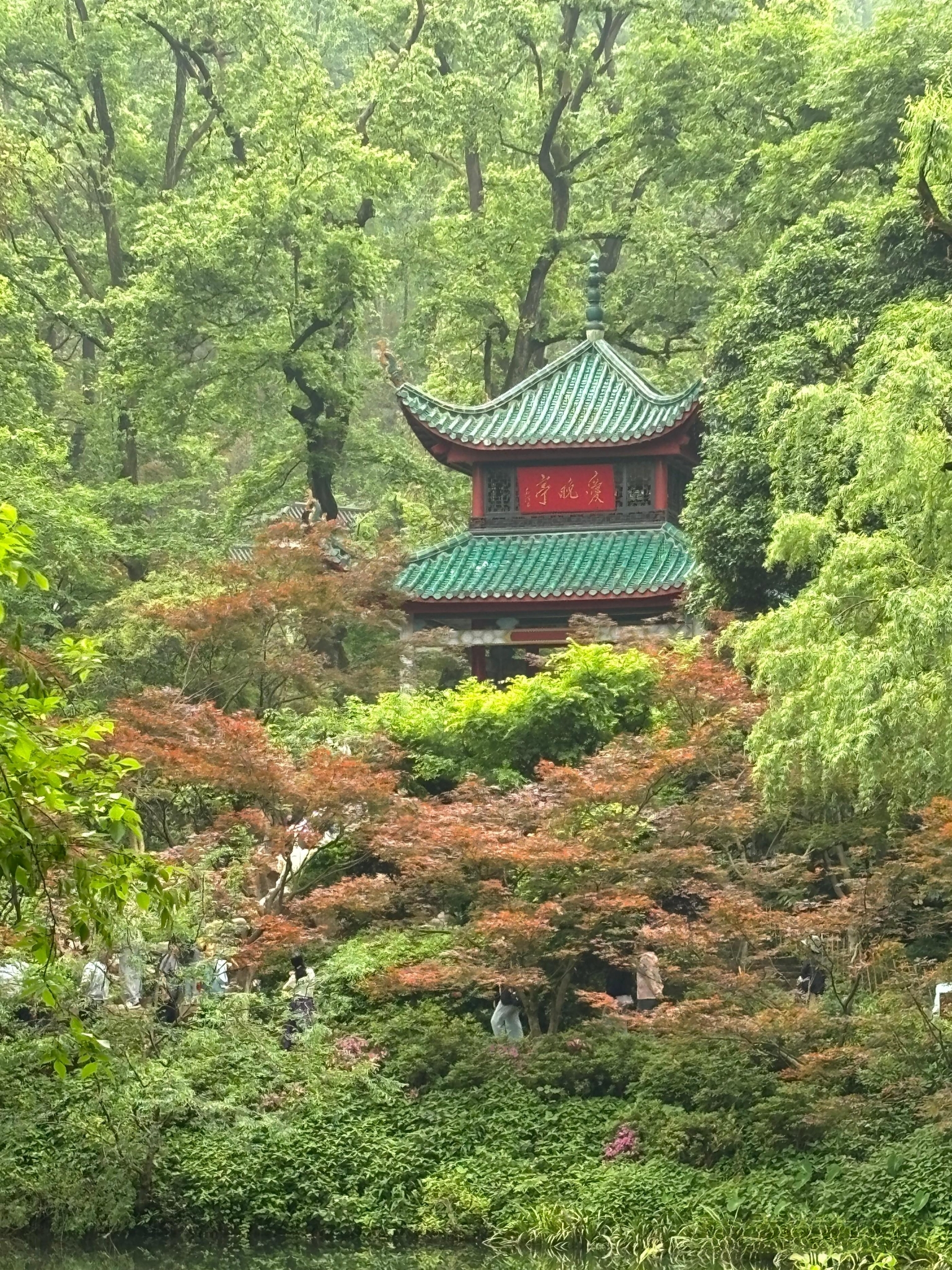 岳麓山图片 美景图片