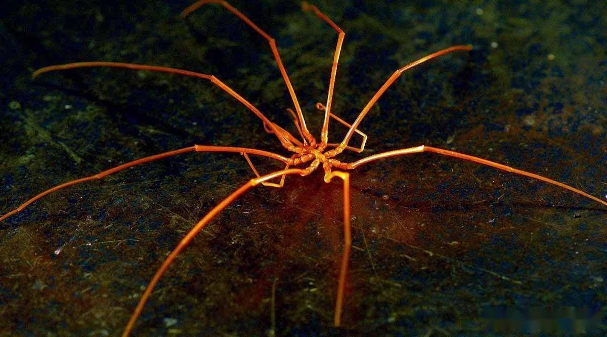 智能信息流一站式服务平台