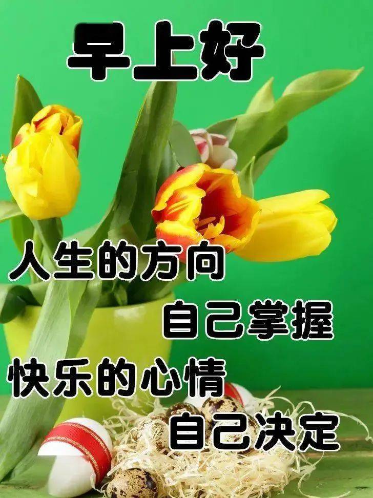 最新版最漂亮的早上好