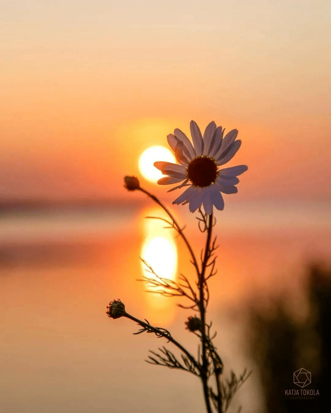 善待自己,从心开始