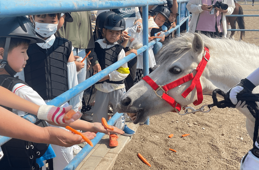 内蒙古赛马场面向中小学开展"马术文化研学"教学实践活动