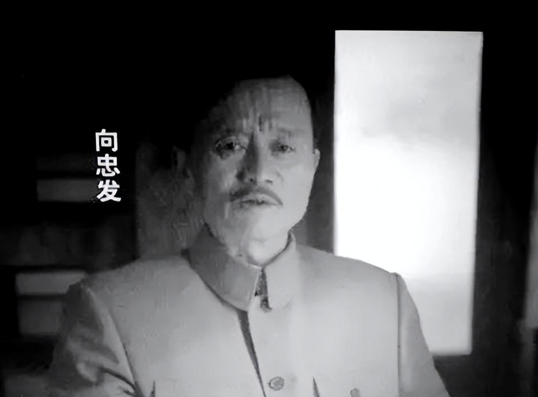 1931年向忠发被逮捕后，迅速叛变，但为何仅两天就被蒋介石处决？