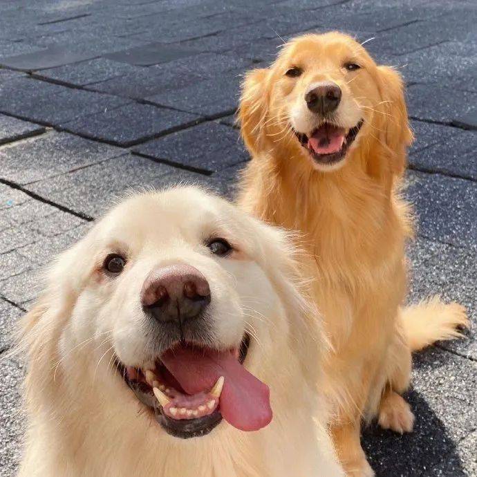 头像丨拒绝不了の微信头像