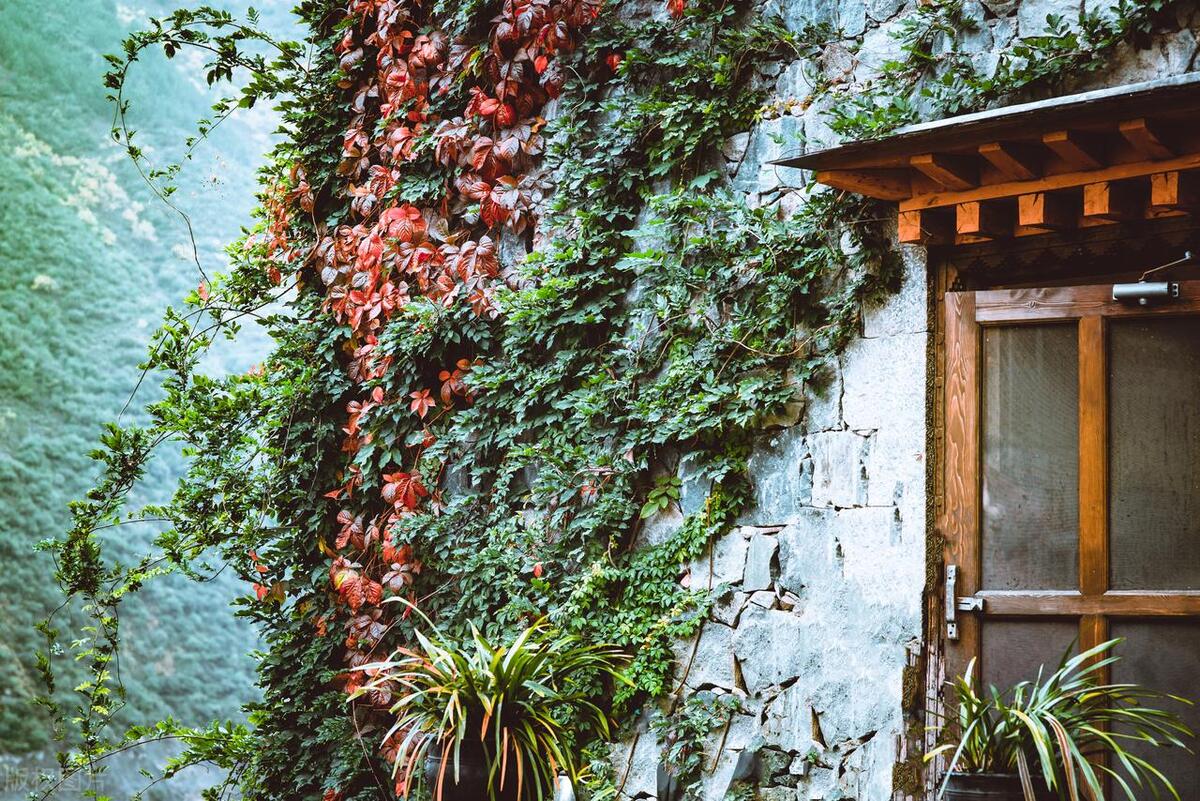 易有料-智能信息流一站式服务平台