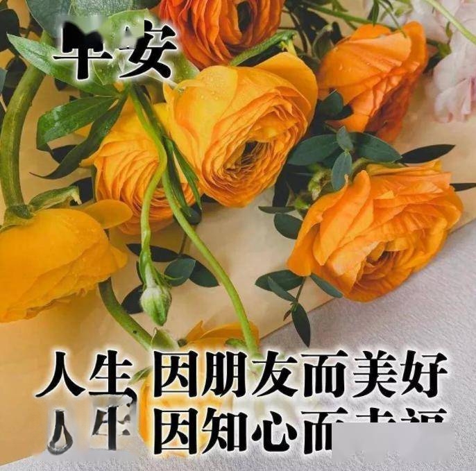 早上好图片漂亮祝福