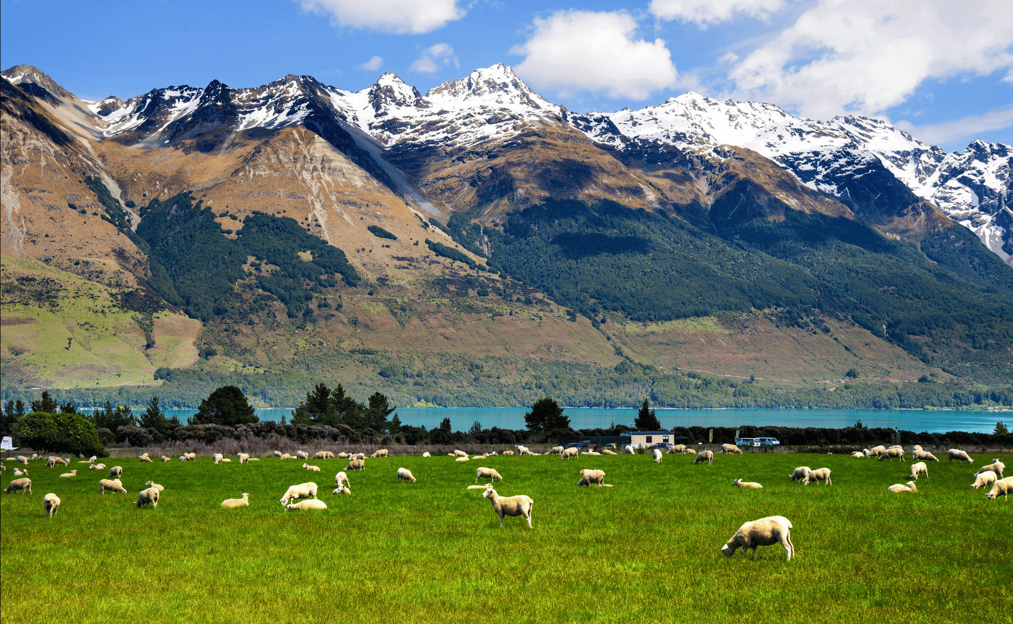 方圆1600公里内没有邻国,是世界上最孤独的国家,居住着5%的华人