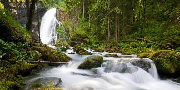生肖龙一定要加把劲了,黄金三月运势爆棚,能否逆袭就看这个月了