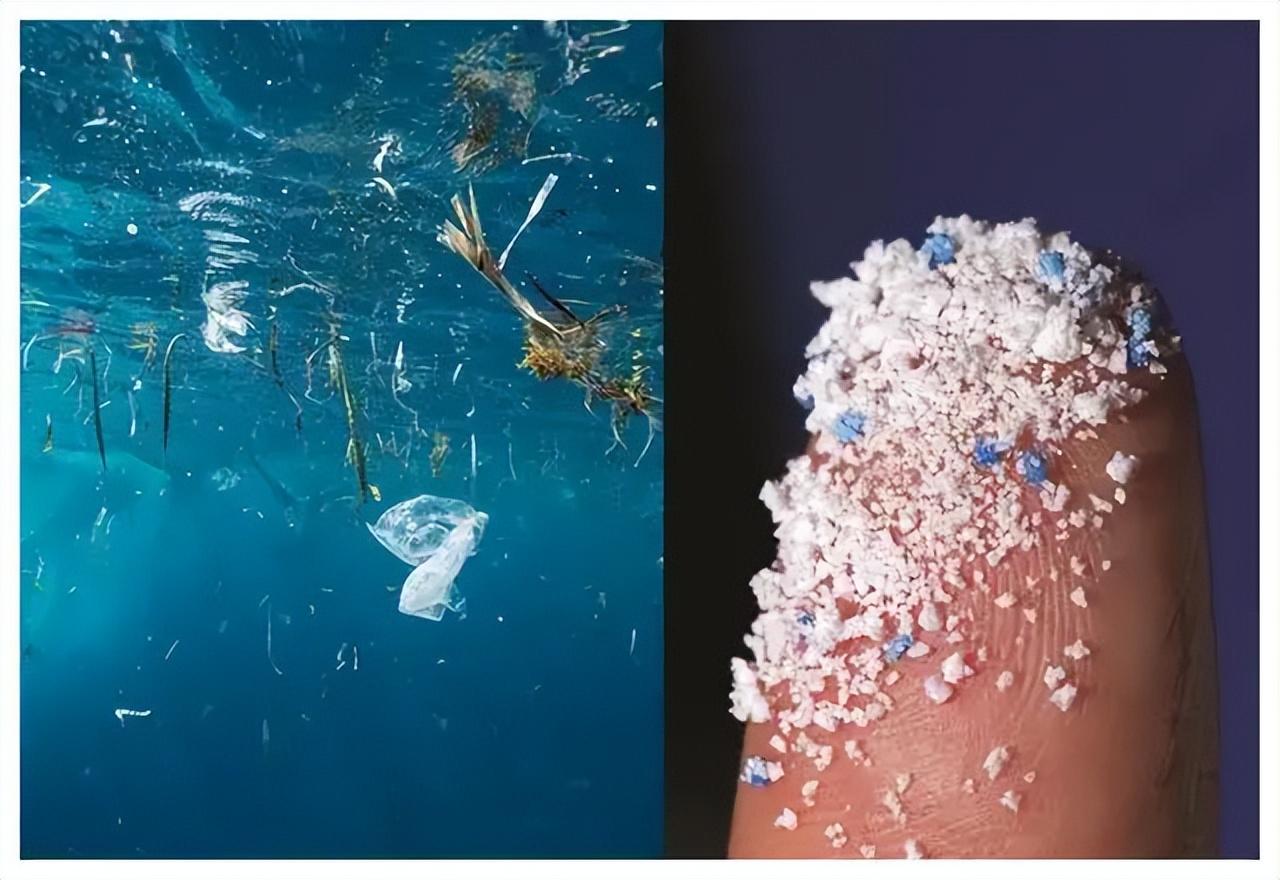 微塑料/纳米塑料对人体的危害是什么？