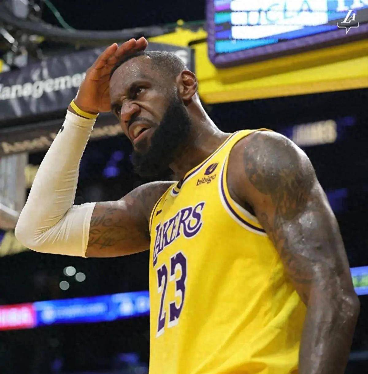 詹姆斯31 13创2纪录,湖人完败!小萨吊打浓眉,福克斯蒙克