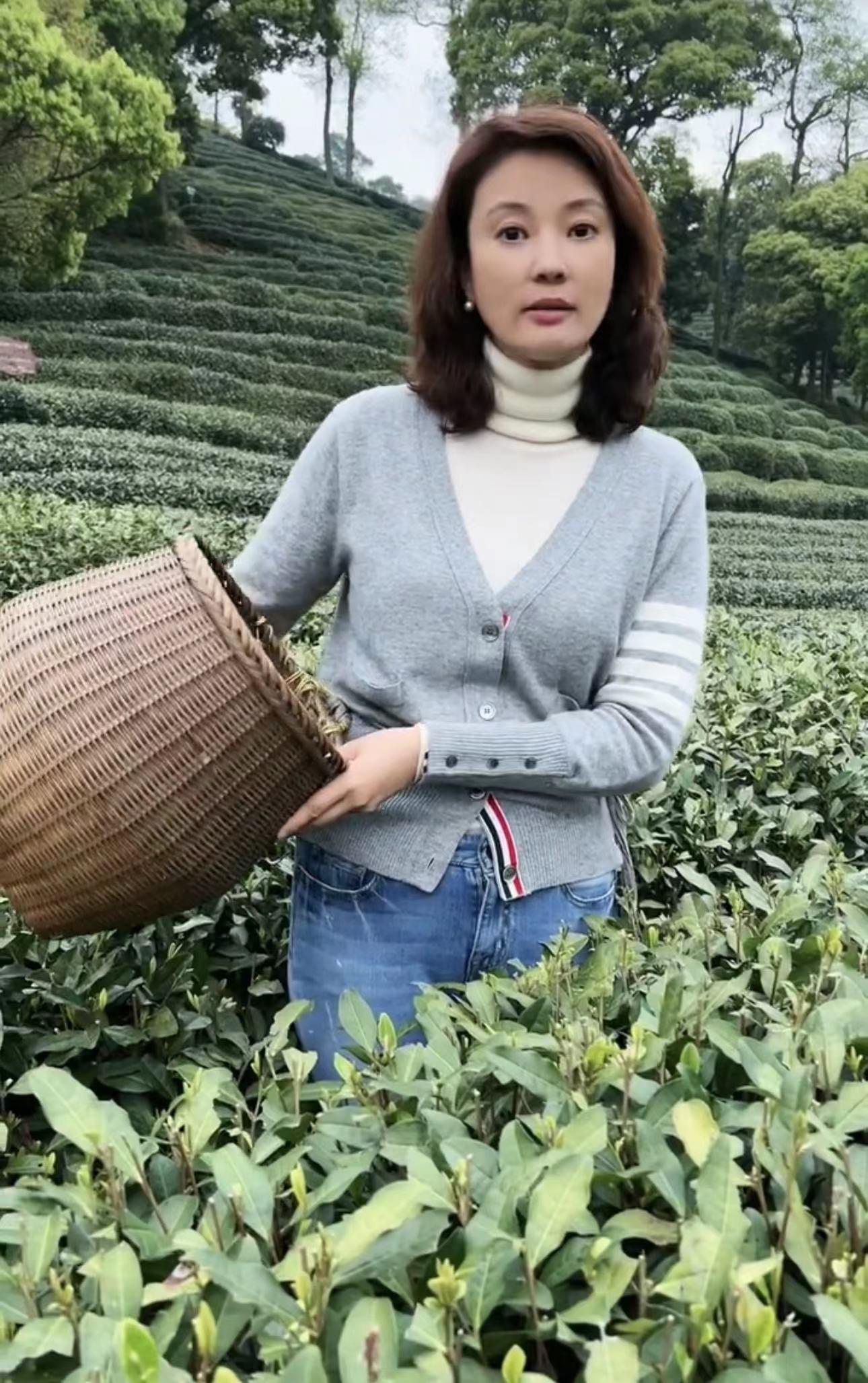 央视主持刘芳菲穿万元衣干农活!素颜吸睛长白发,45岁未婚太可惜