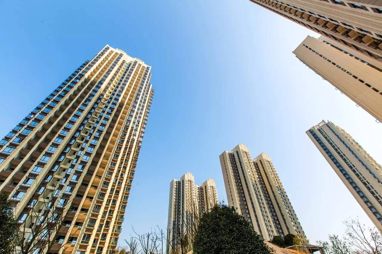 易有料-智能信息流一站式服务平台