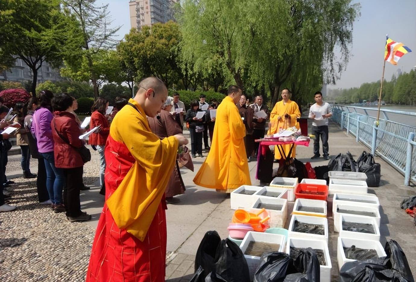 放生配什么图片图片