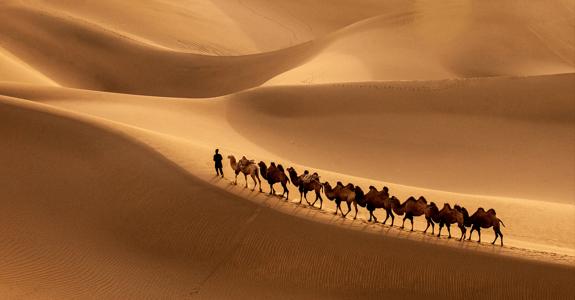 中国最大沙漠到底有多深?如果把沙子全部挖光,地下会是什么?