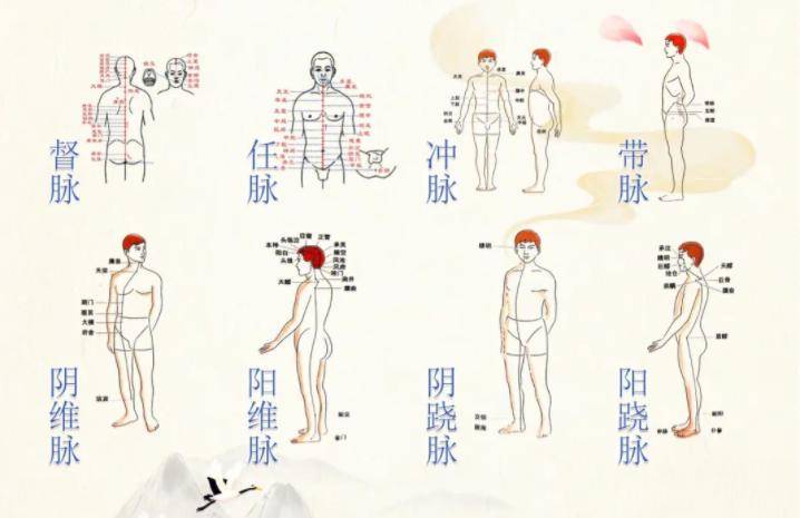 人体生命线"奇经八脉",每天按摩,气血更足!