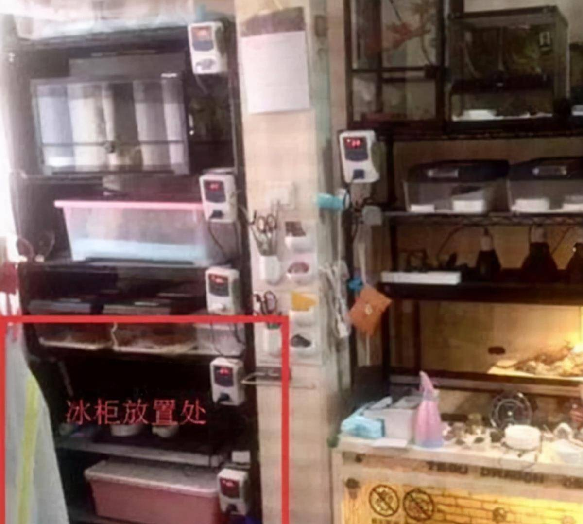 他将杨俪萍的尸体用床单包裹着,放进了他先前买来的冰柜里,将其冰冻