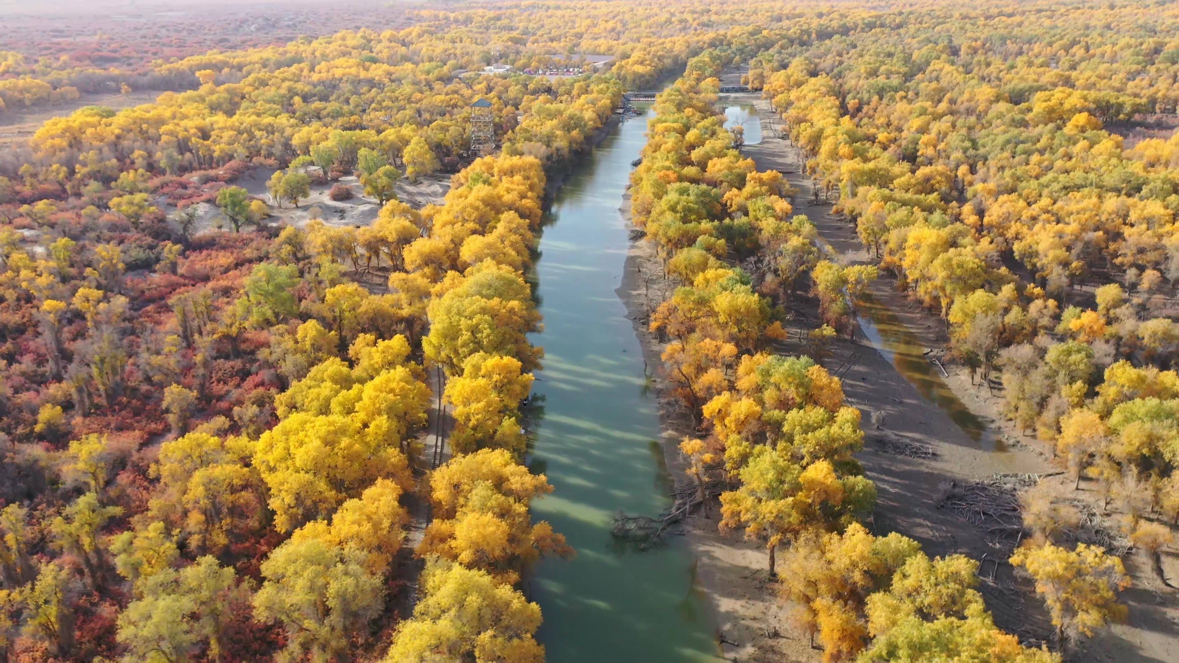 智能信息流一站式服务平台