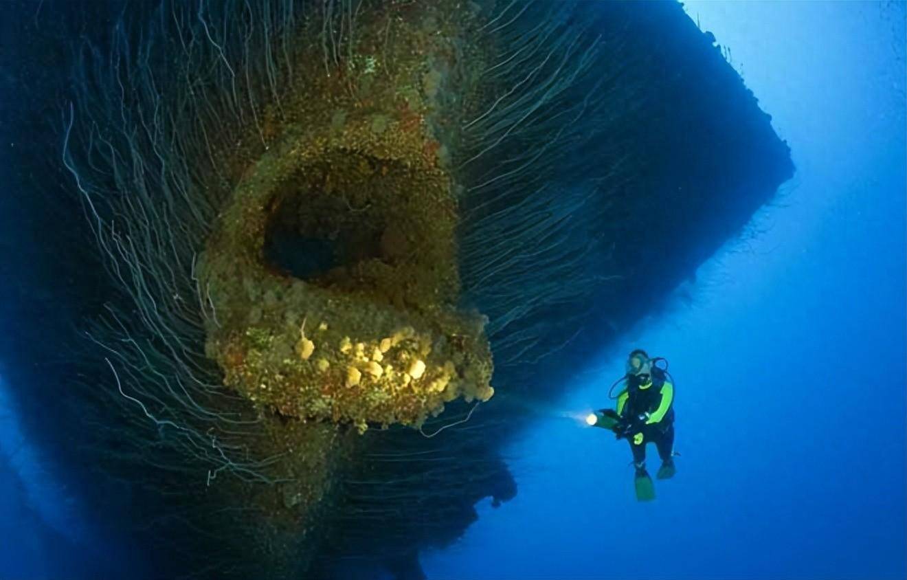 深海巨型恐怖生物图片