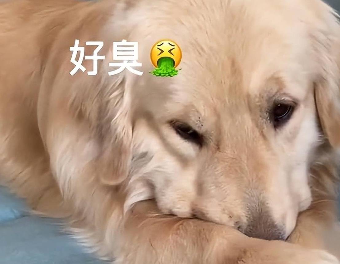 易有料-智能信息流一站式服务平台