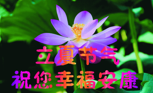 岁月不息,脚步不停,又是一年立夏时.