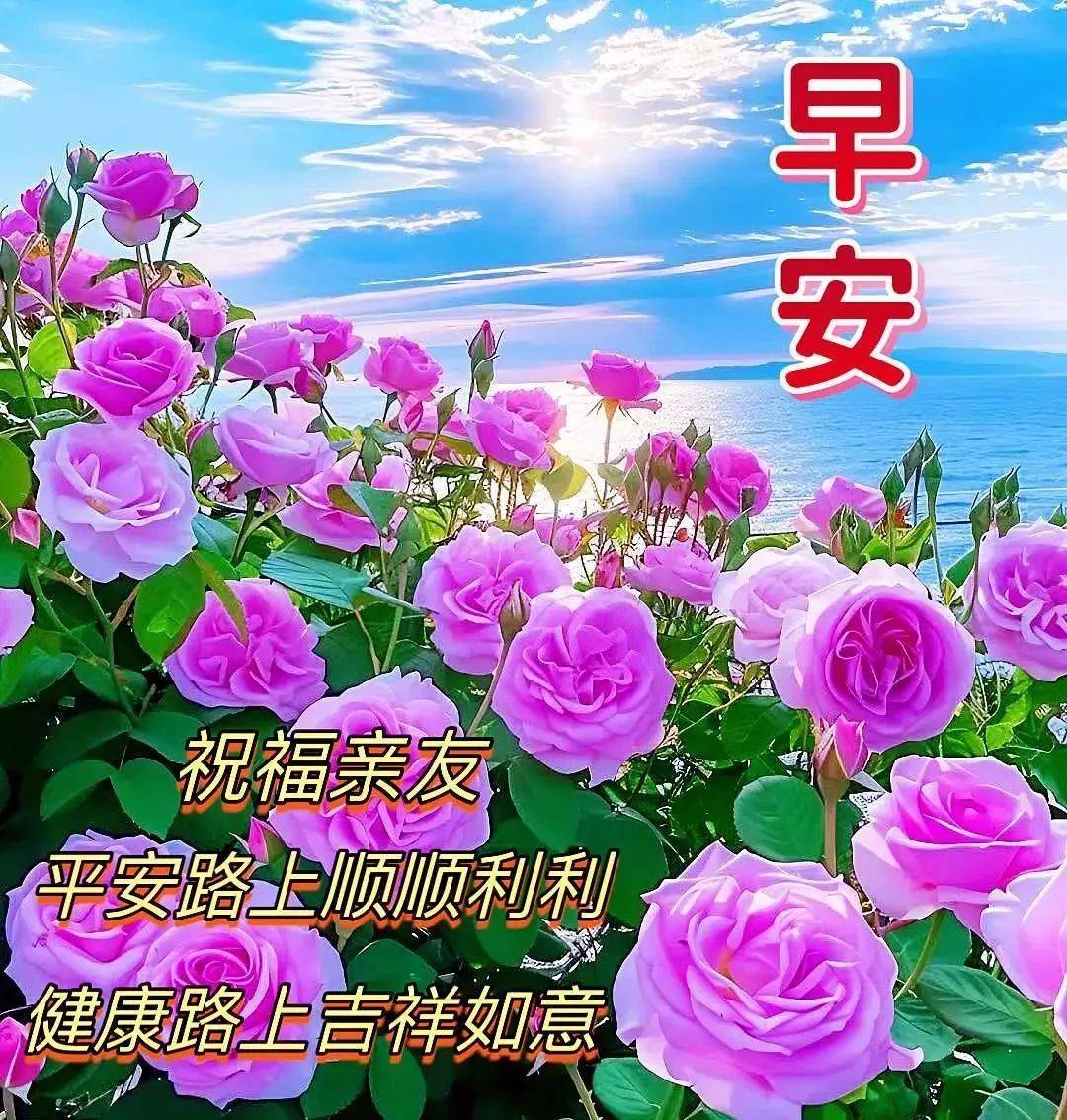 最新早上好图片最美图片