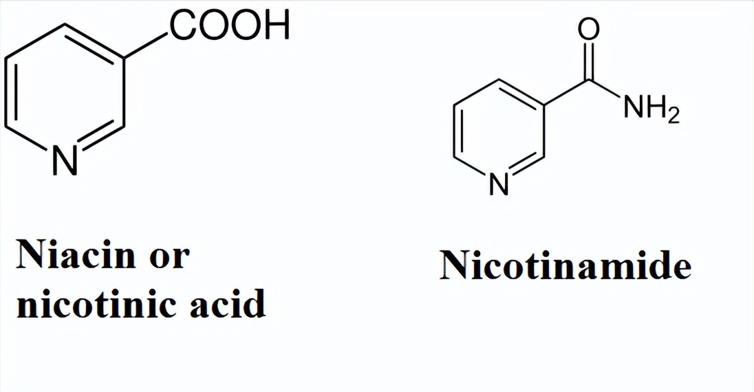 烟酰胺的结构由吡啶环组成.