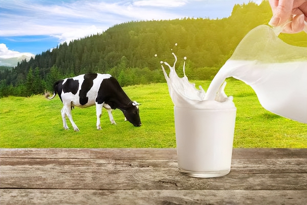 全脂牛奶还是脱脂牛奶?全脂乳制品的发展趋势BOB(中国)手机版 - BOB体育官方