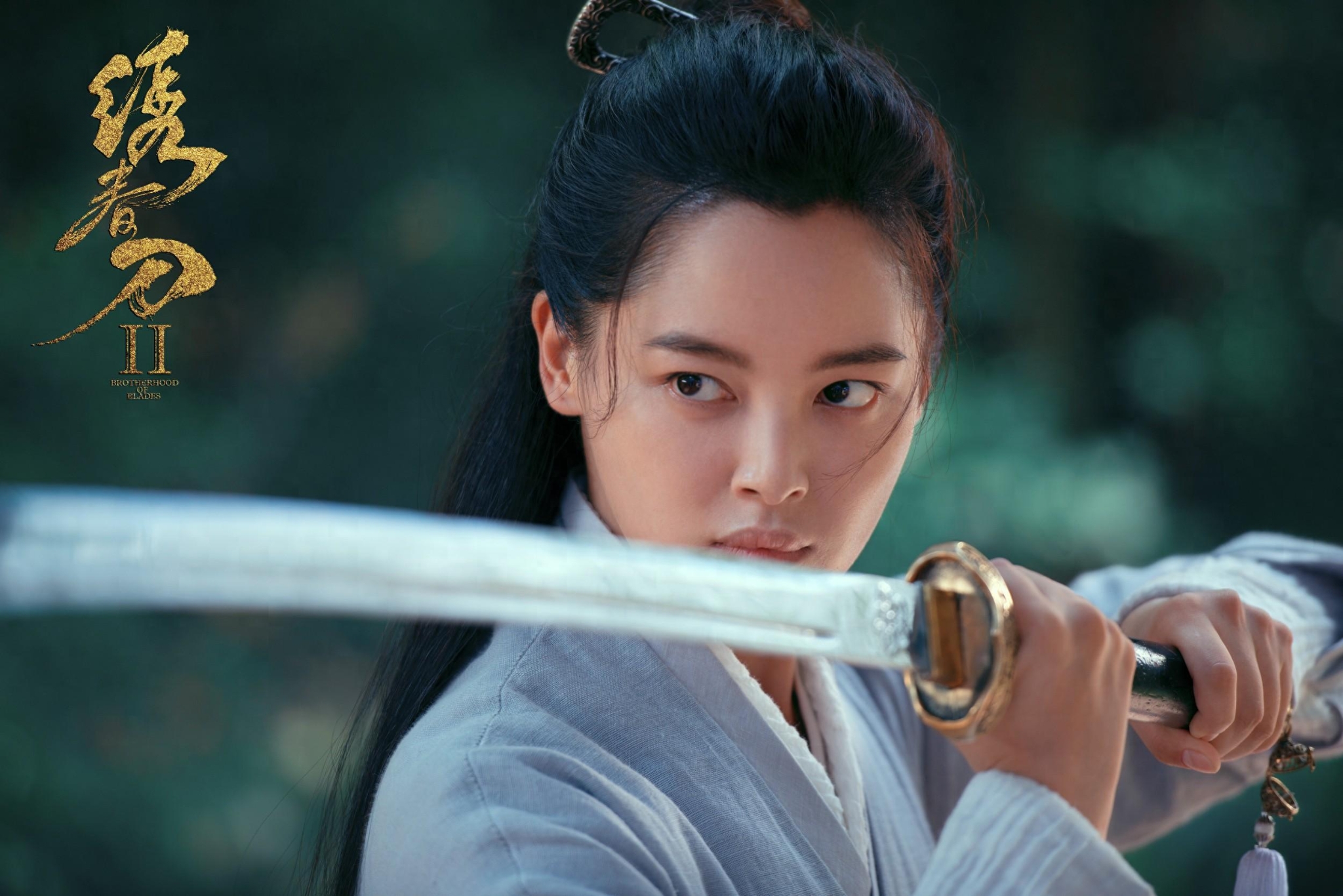 《绣春刀》再来袭,吴京成投资方,剧情一般打斗场面惊艳