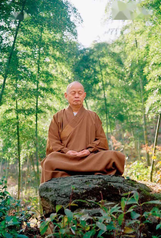 我们修行参禅开悟,就是要证得无住之心,以无住心对无住境,以如如之智