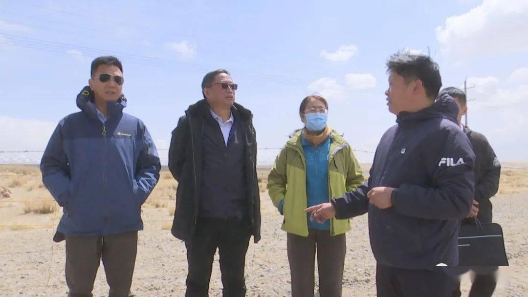 在海南州共和县,杨海龙一行先后前往洱海,倒淌河镇甲乙村,青海湖国际