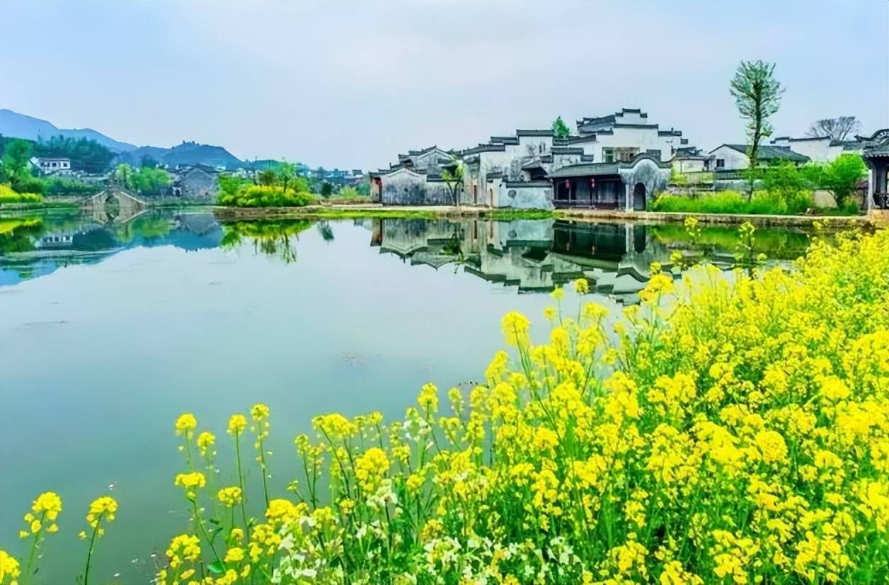 千里莺啼绿映红,水村山郭酒旗风.唐-杜牧江南春绝句江南的春天美!