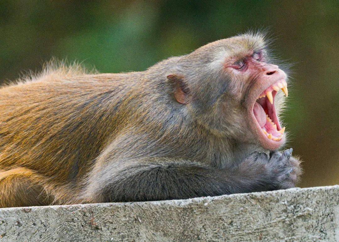 易有料-智能信息流一站式服务平台