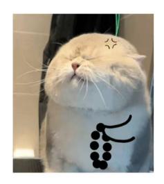 1750764003344.png