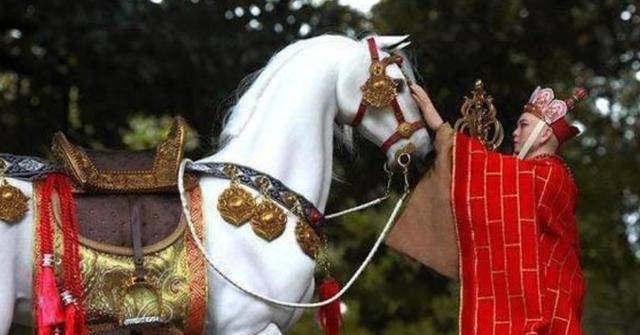 但是白龙不认识唐僧,一出口将唐僧的坐骑吞进了肚子里,为求公道,菩萨