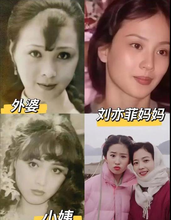 刘亦菲母亲刘晓莉:我这辈子最正确的决定,就是"护"了女儿30年