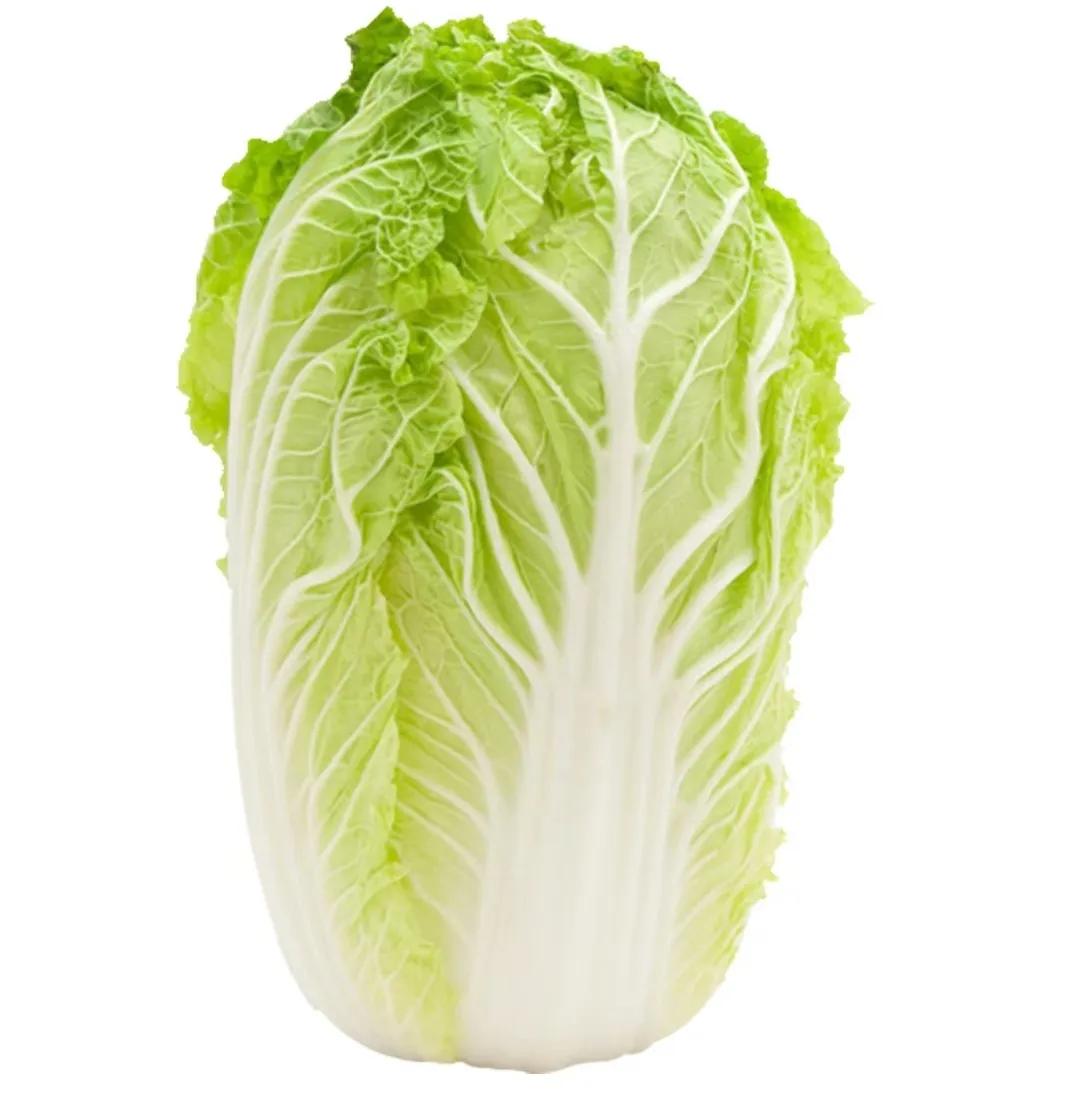 心理测试:选择一颗大白菜,测测你近期会有什么惊喜