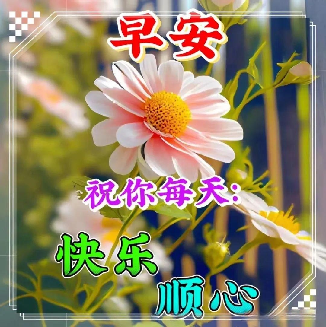 ڶܰϺʺʻͼƬ,ѡϺ¼ůף