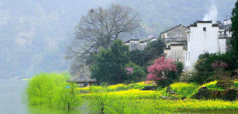 春天图片真实风景图片图片