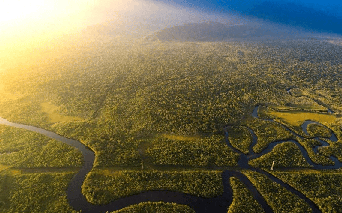 为什么人们不敢在亚马逊河中游泳?