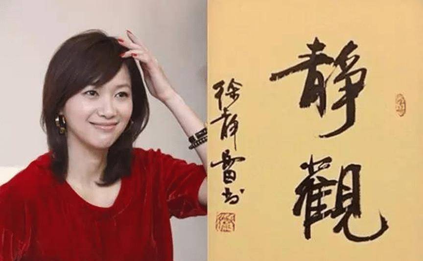 小三公然叫嚣原配,49岁仍未婚,徐静蕾究竟哪来的底气?